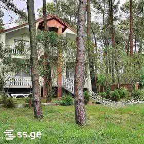 6 Room Private House Daily Rent. Grigoleti view 1