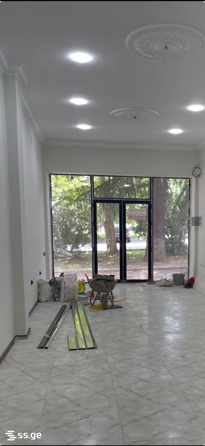 Commercial Space For Rent. Kutaisi view 5