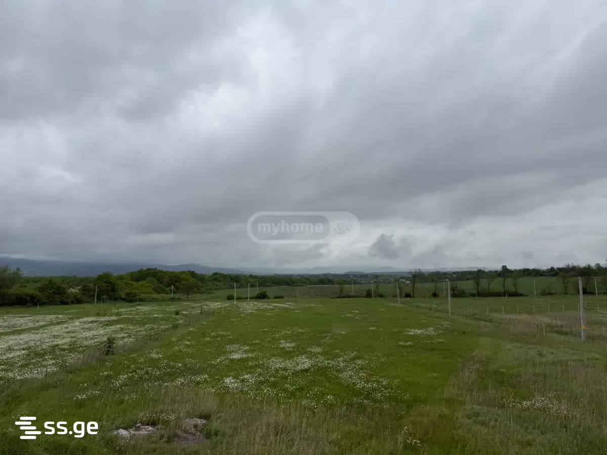 Продажа Земля в Душети view 1