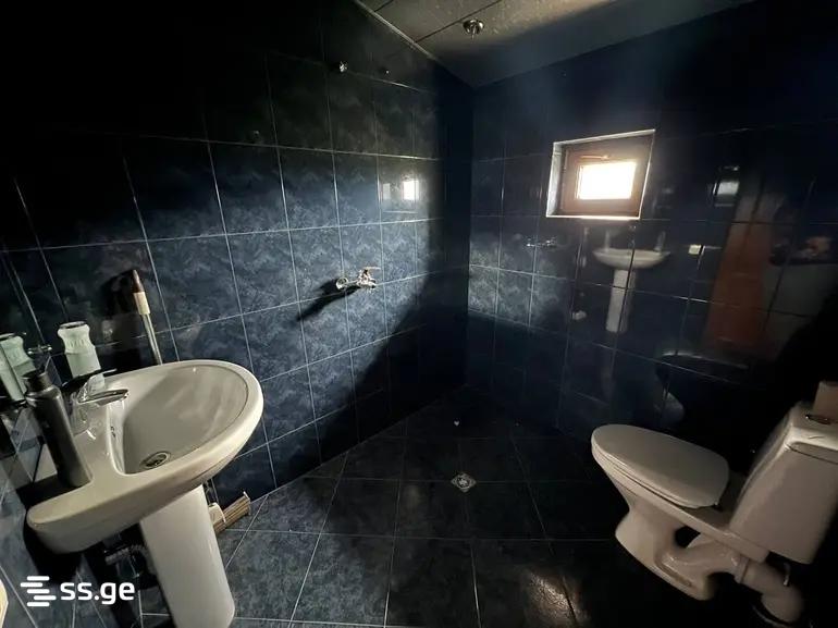 Private House Daily Rent. Elia view 13