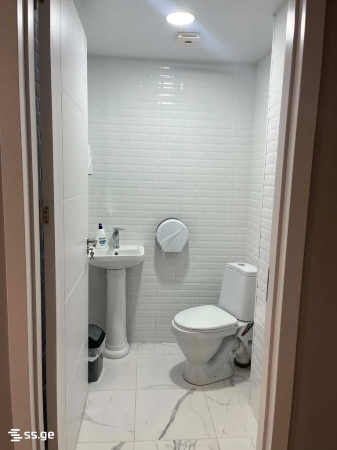 Commercial Space For Rent. Saguramo view 13