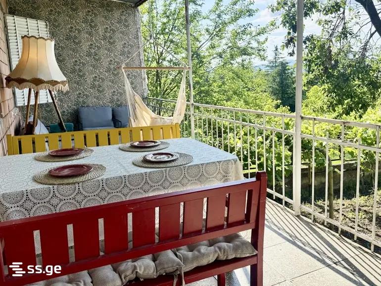 4 Room Private House For Rent. Tserovani view 8