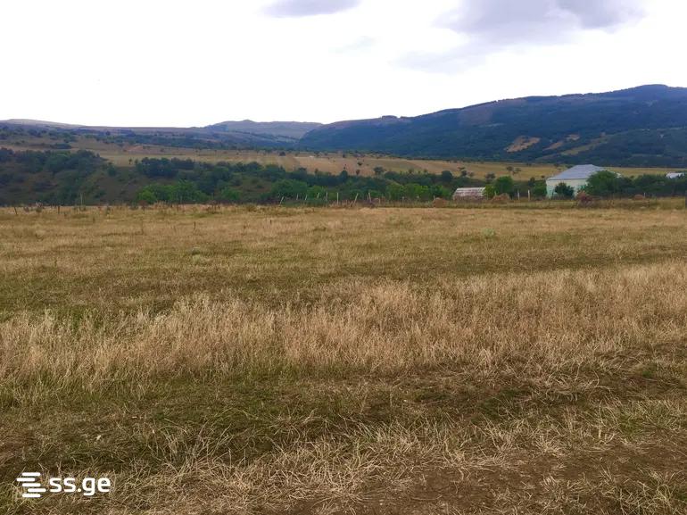 Land For Sale. Manglisi view 4