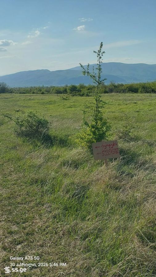 Land For Sale. Saguramo, 1 of 2