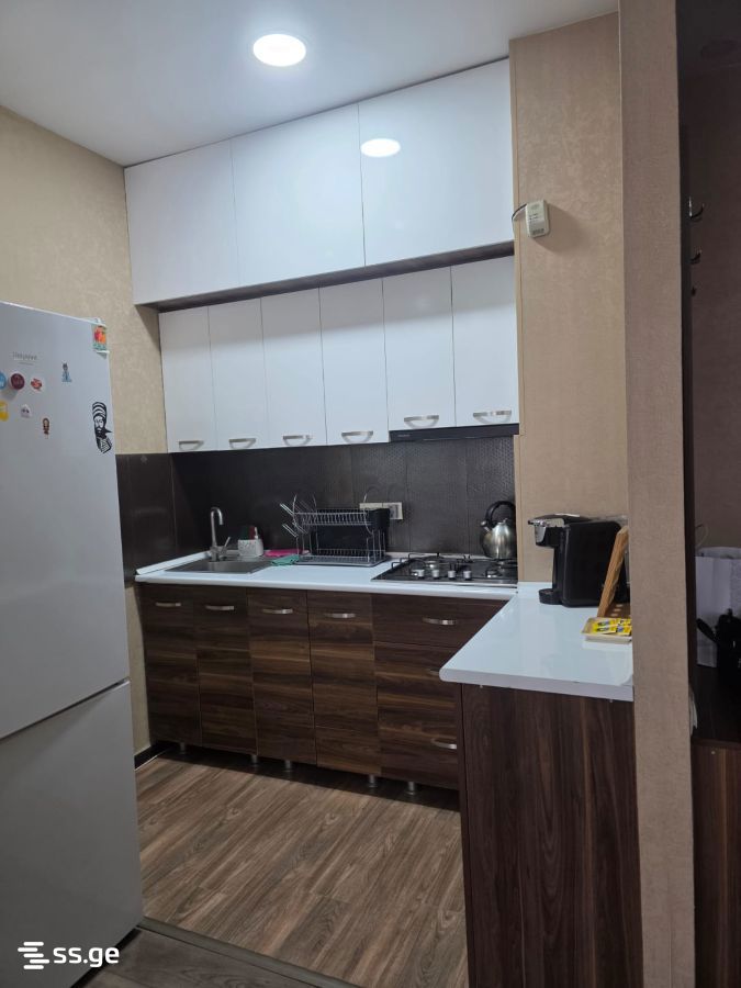 2 Room Flat Daily Rent. Didi Digomi view 6