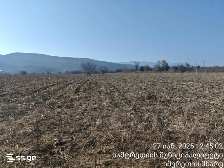 Продажа Земля в самтредиа view 2