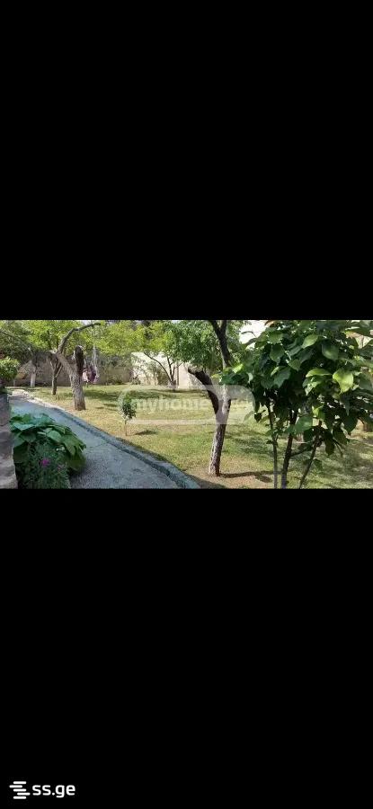 6 Room Private House For Rent. Okrokana view 4