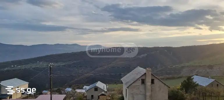 Land For Sale. Napetvrebi view 2