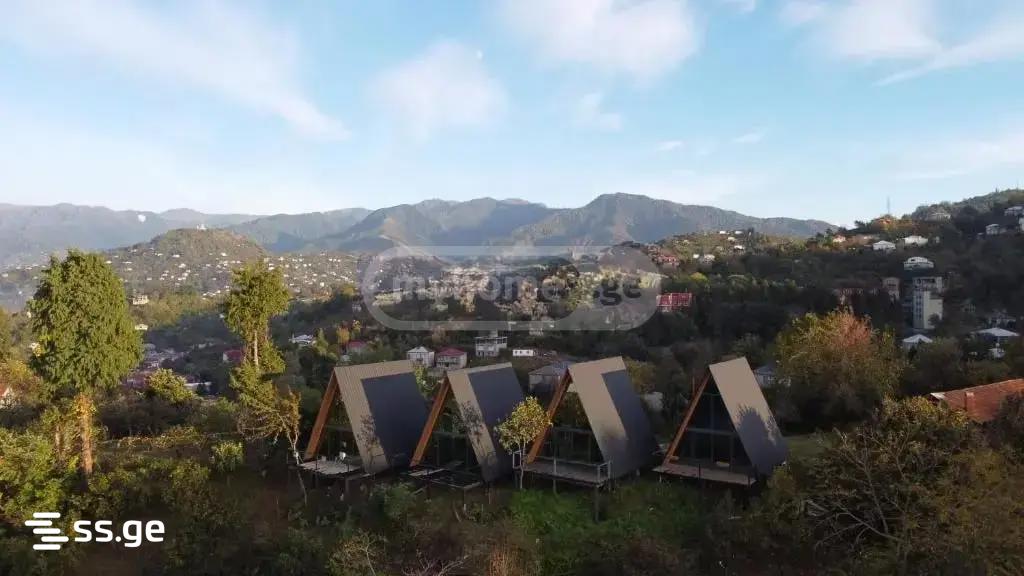1 Room Summer Cottage Daily Rent. Batumi view 15