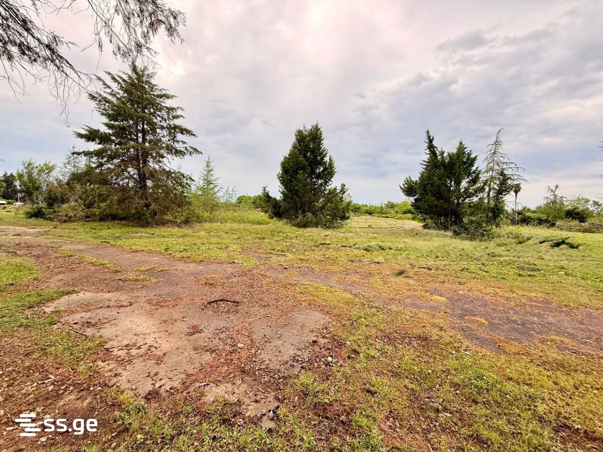 Land For Sale. Ozurgeti view 1