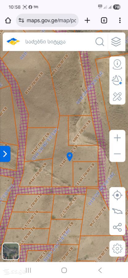Land For Sale. Rustavi view 3