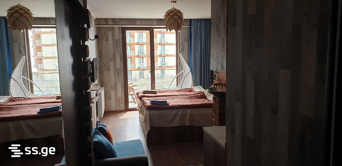 1 Room Flat Daily Rent. Gudauri view 8