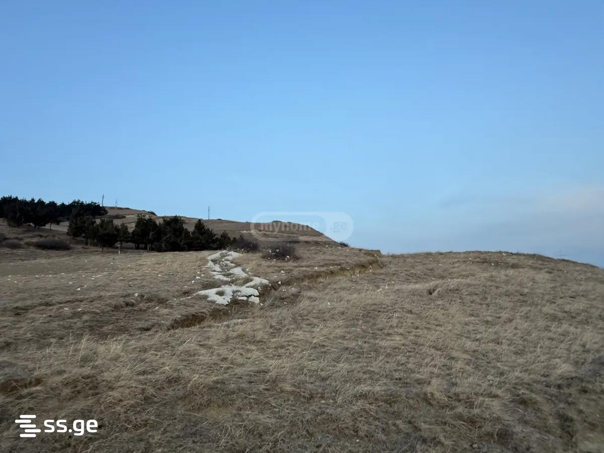 Land For Sale. Chugureti view 2