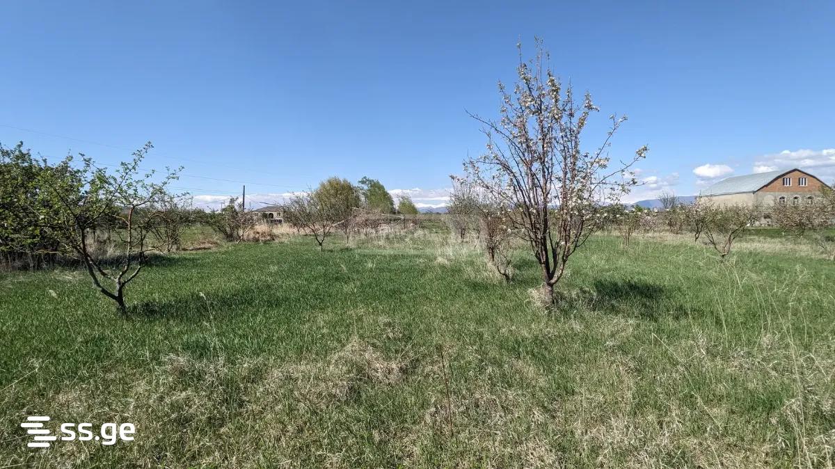 Land For Sale. Gori view 3