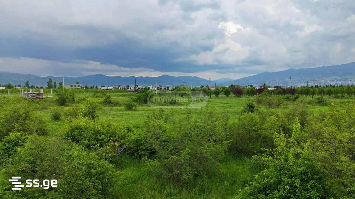 Продажа Земля в натахтари view 3