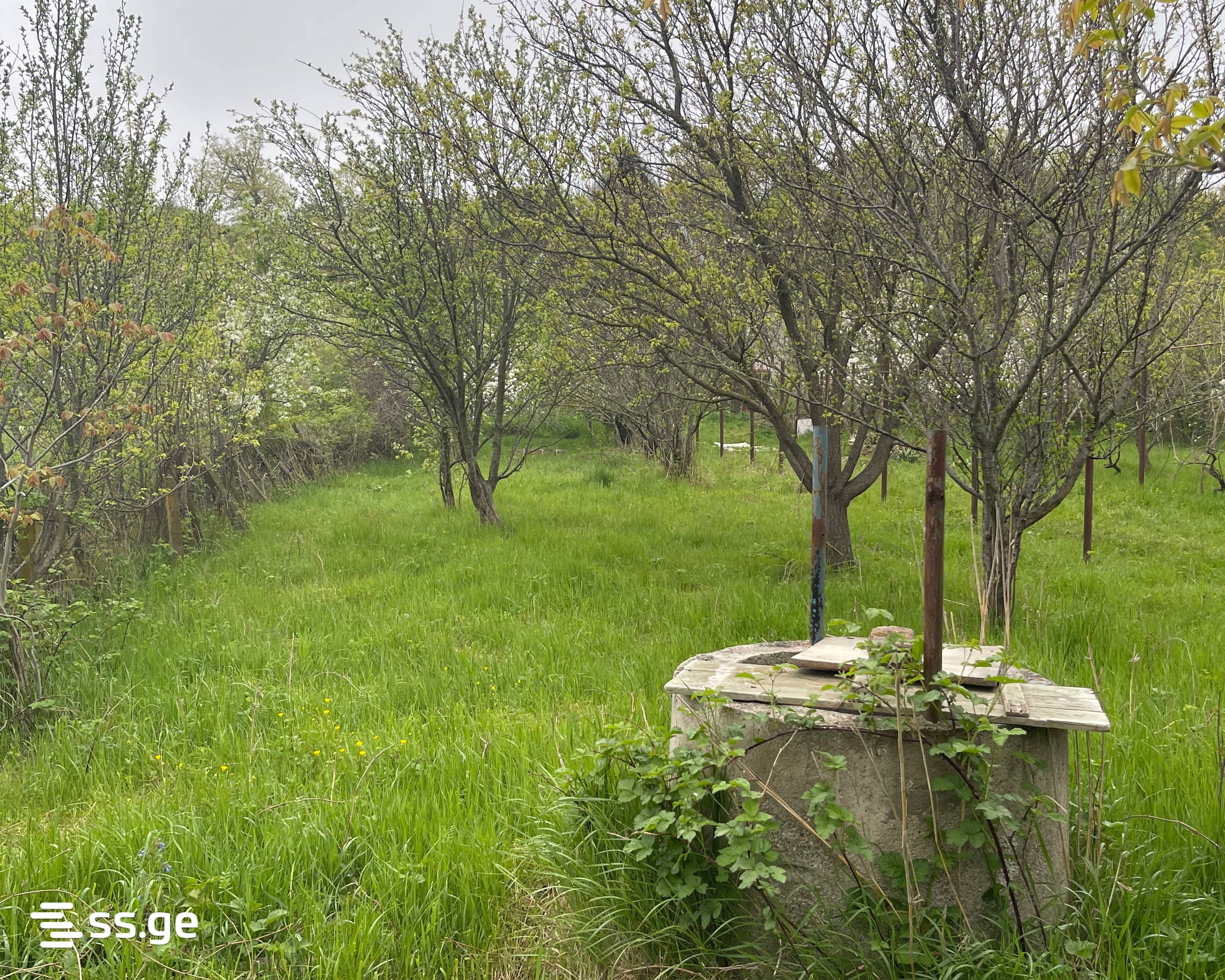 For Sale 7 Room Country House Gardabnis Munitsipalitetshi view 28