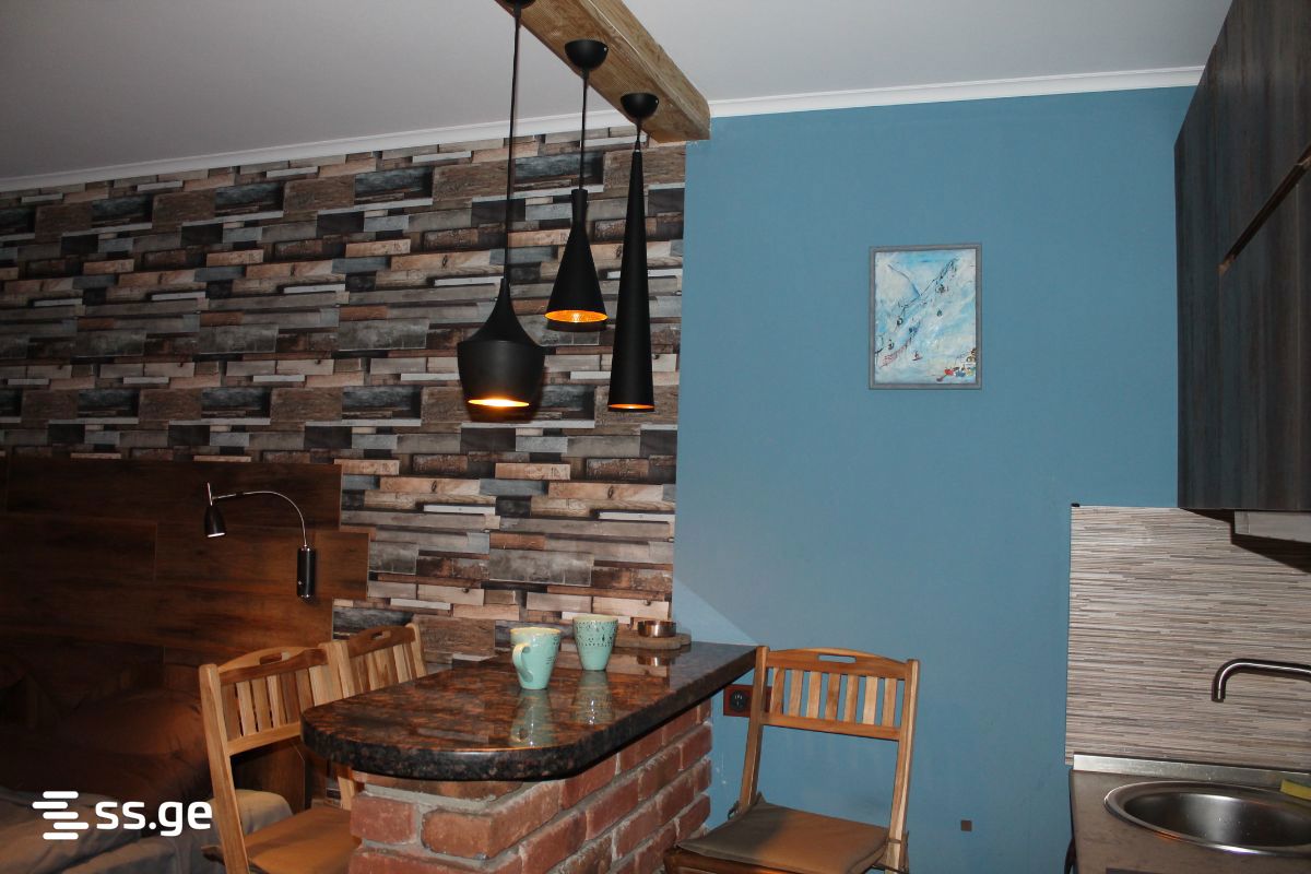 1 Room Flat Daily Rent. Gudauri view 5