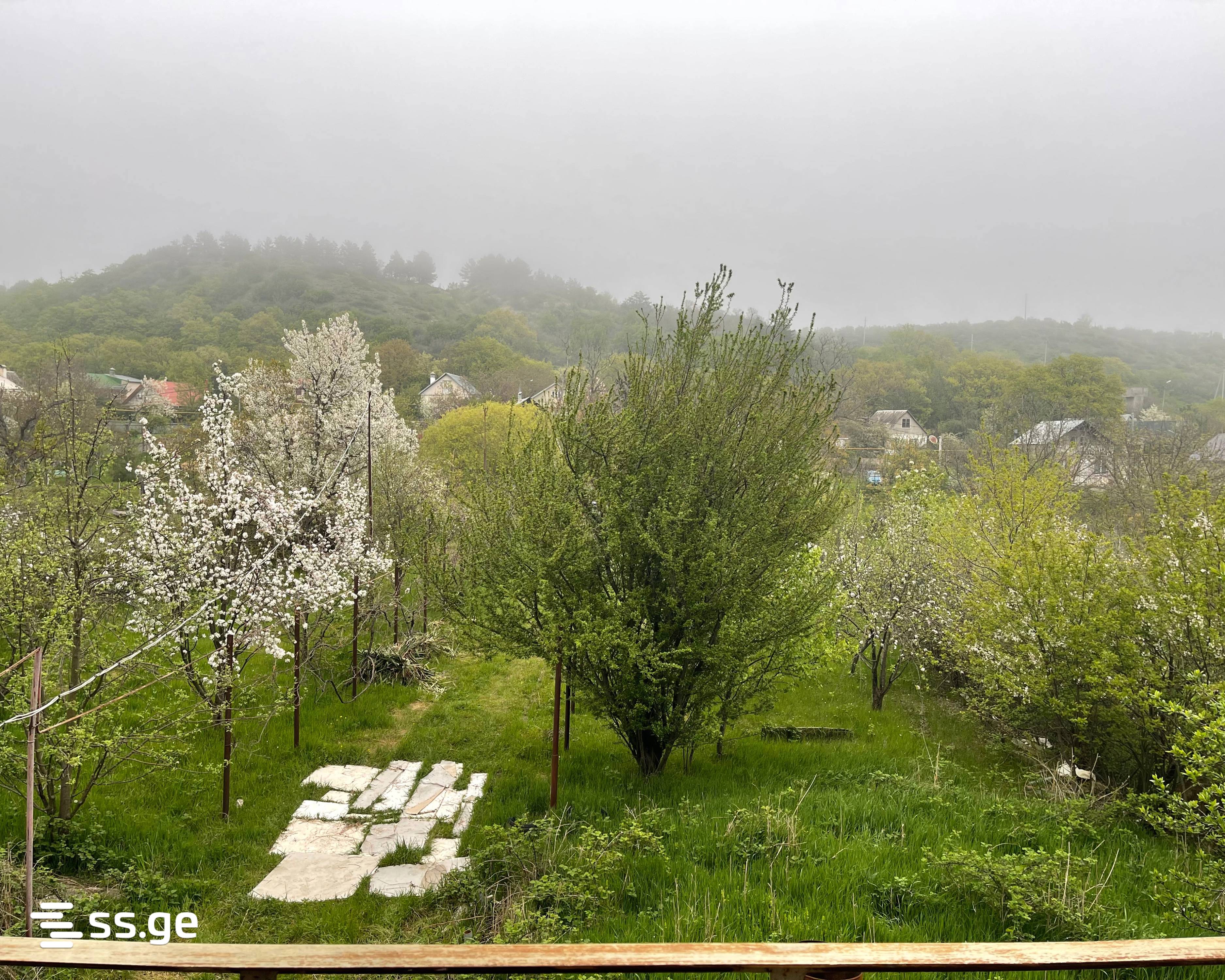 For Sale 7 Room Country House Gardabnis Munitsipalitetshi view 16
