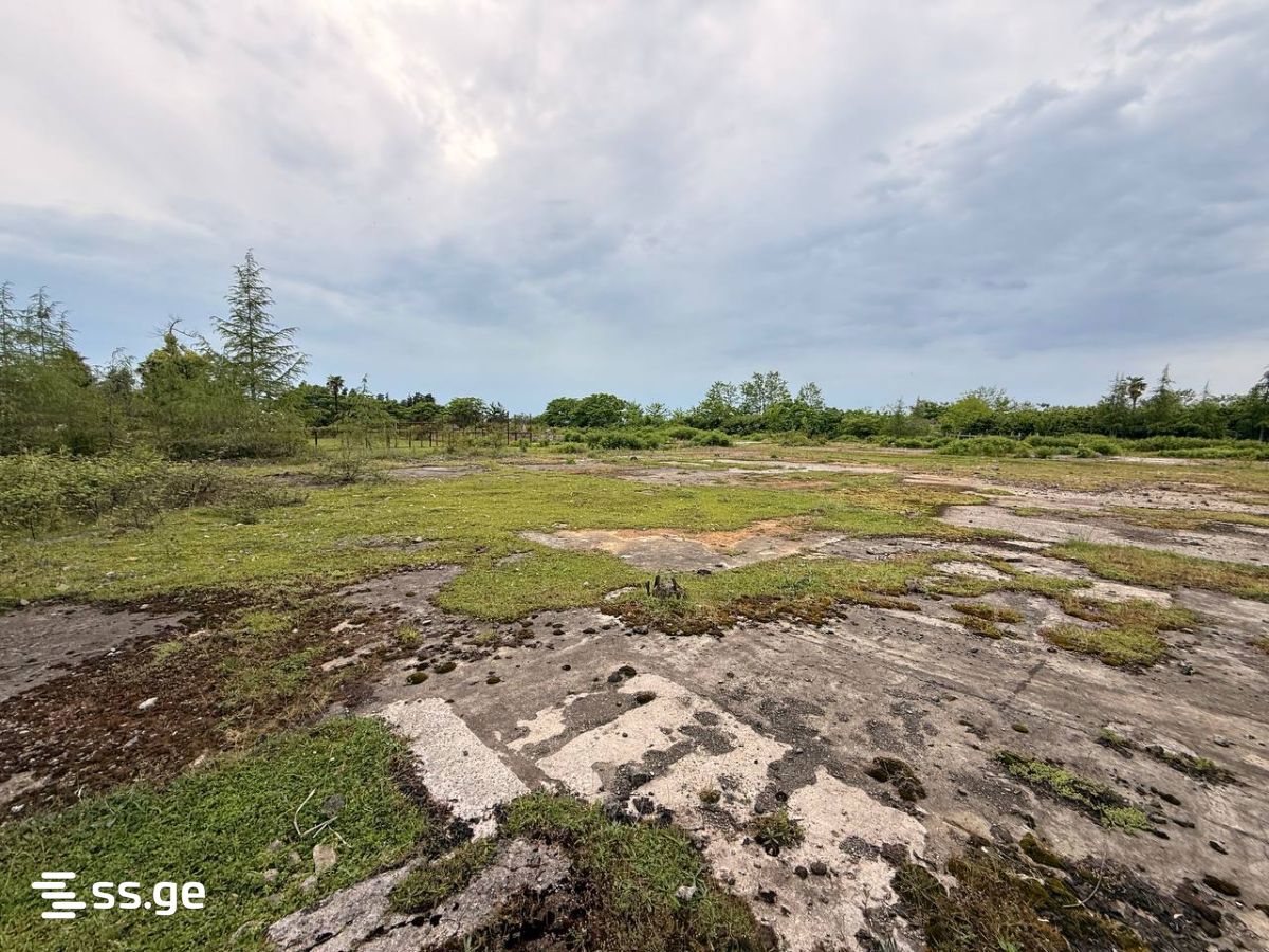 Land For Sale. Ozurgeti view 3