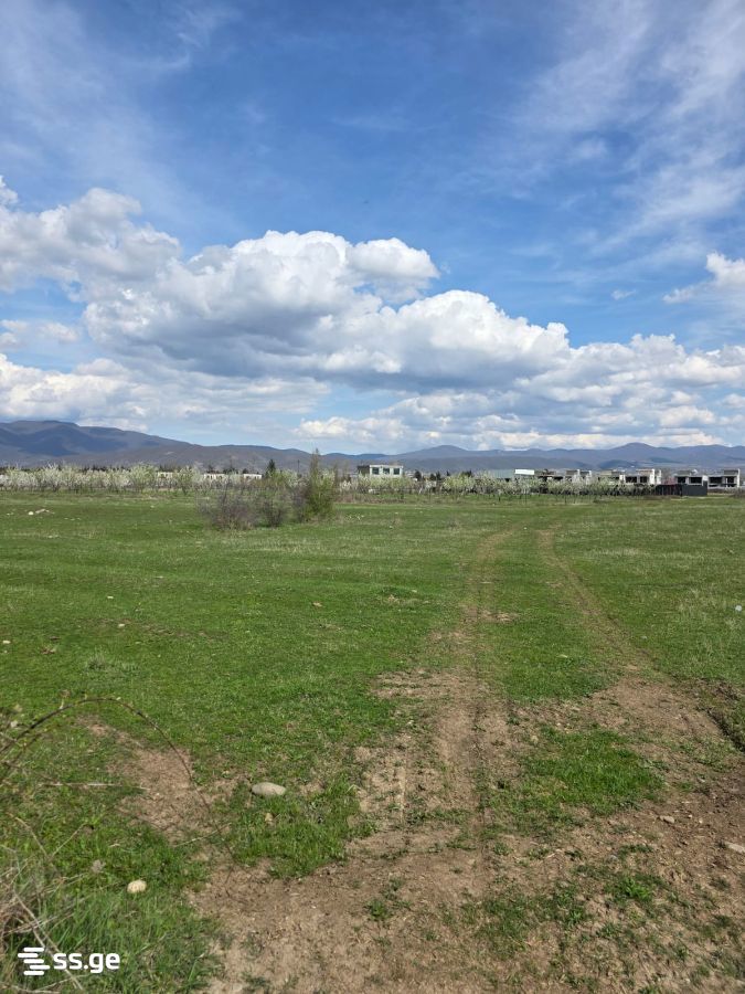 Продажа Земля в мисакциели view 3