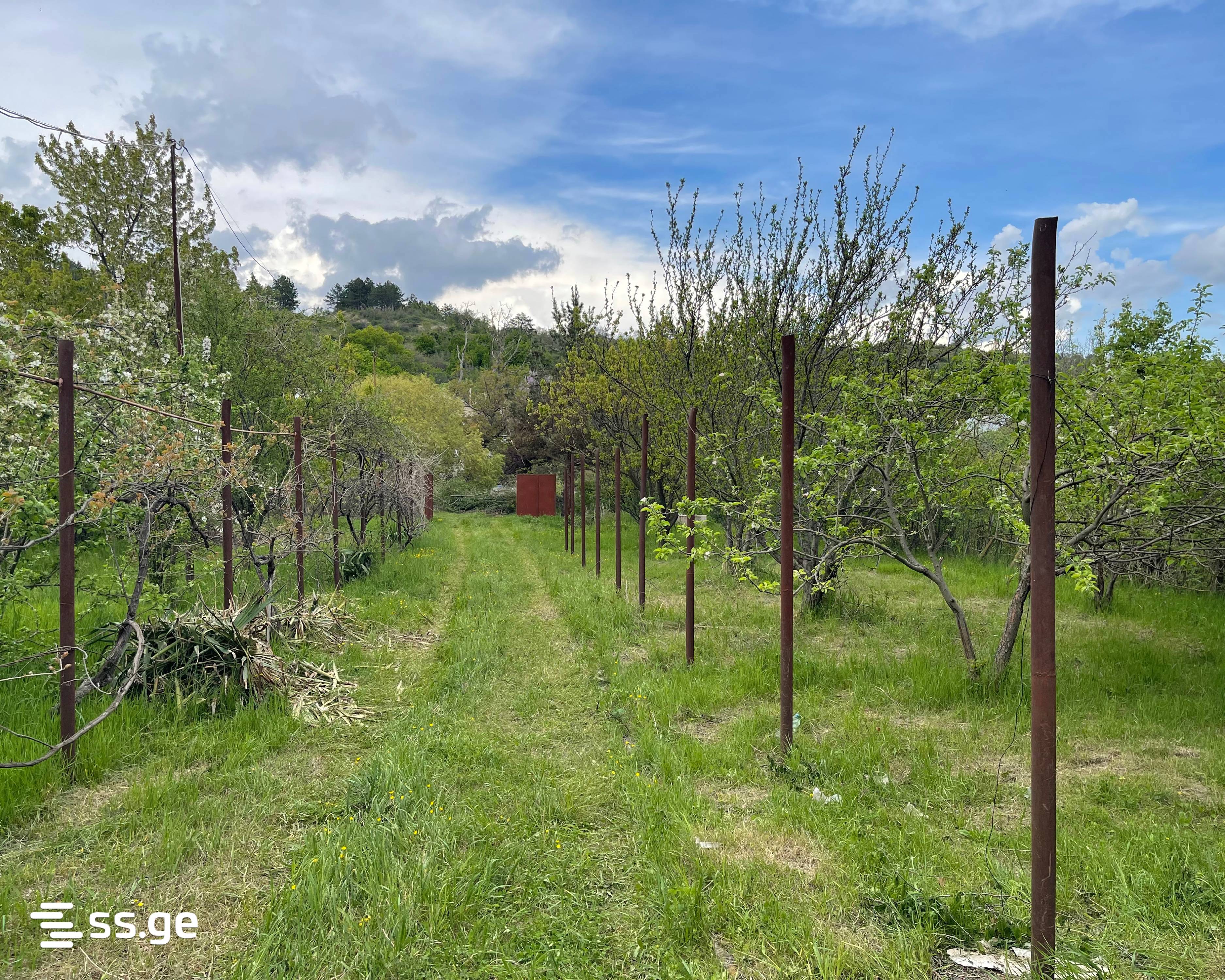 For Sale 7 Room Country House Gardabnis Munitsipalitetshi view 17