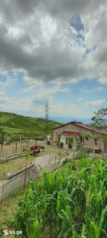 3 Room Private House For Sale view 10