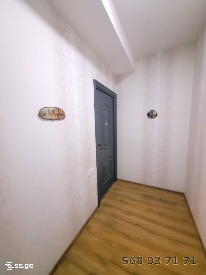 3 Room Flat Daily Rent. Vake view 9