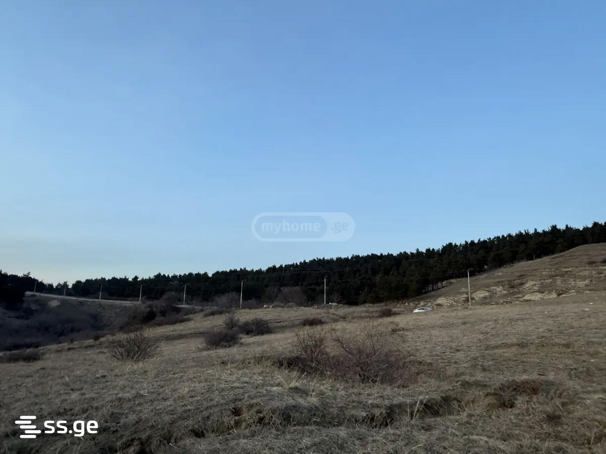 Land For Sale. Chugureti view 1