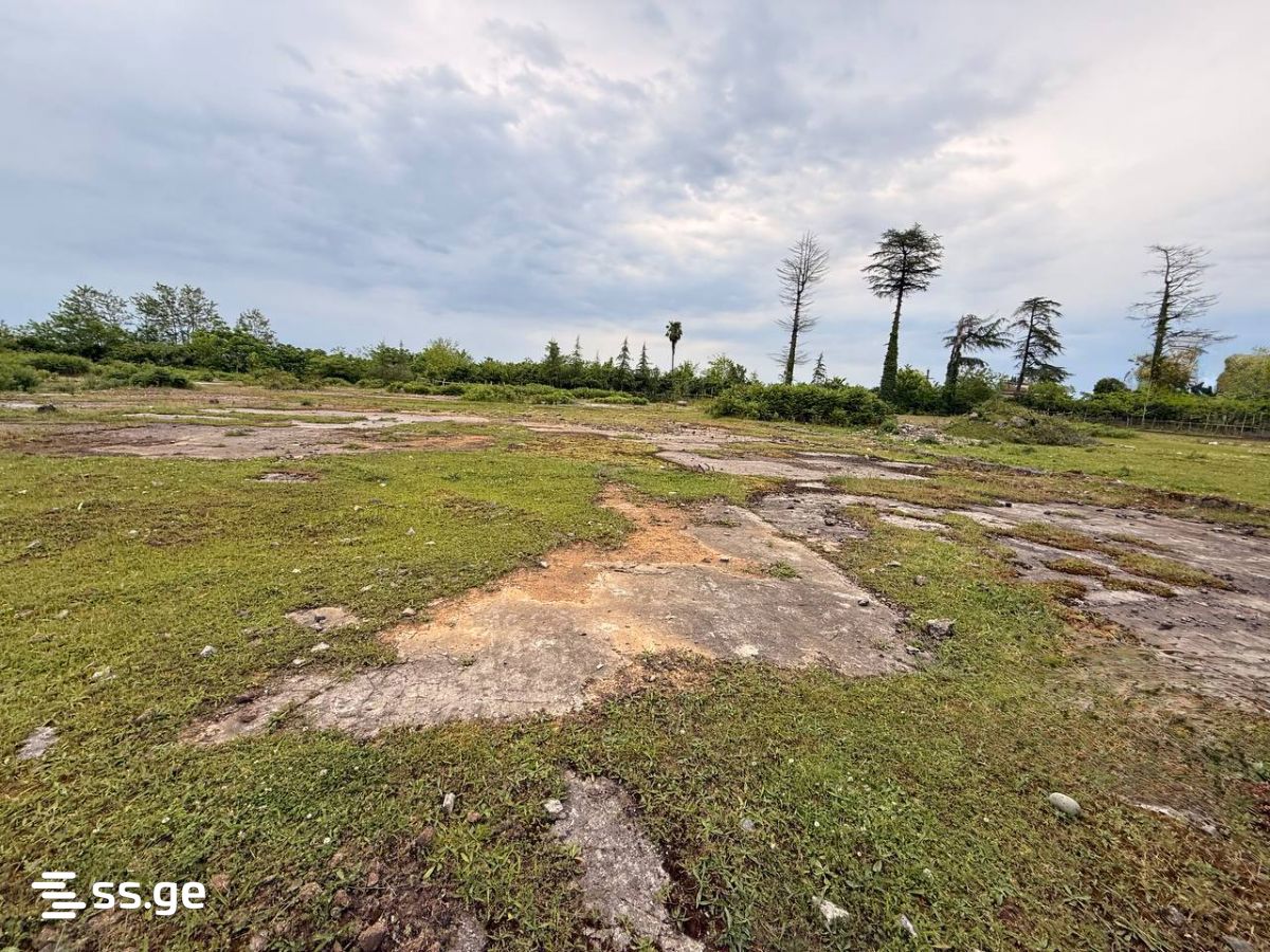 Land For Sale. Ozurgeti view 2