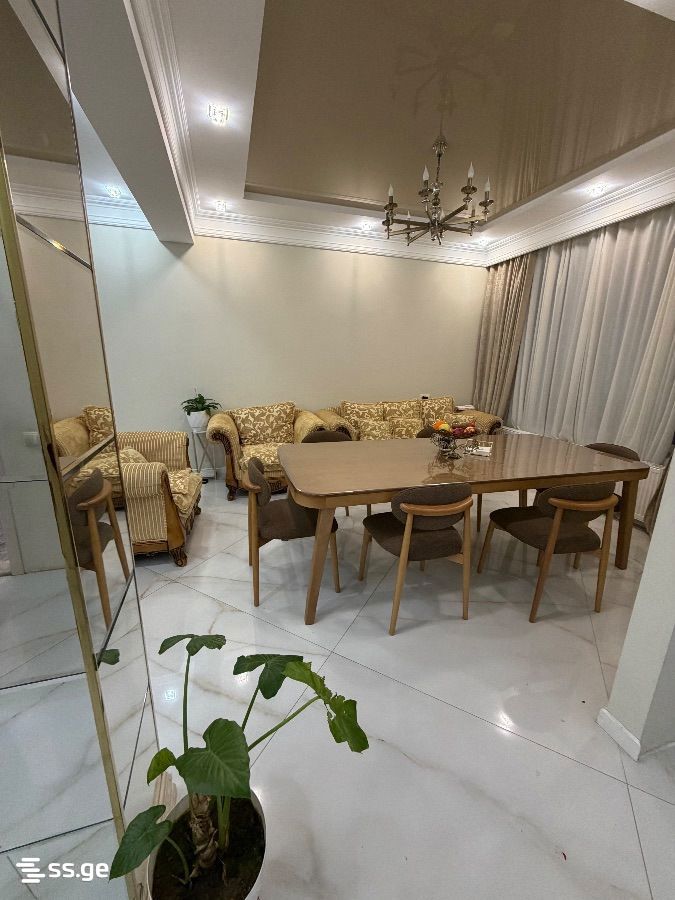 6 Room Private House For Rent. Varketili view 10