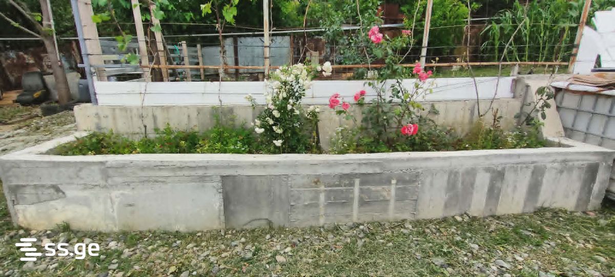 3 Room Private House For Sale view 4