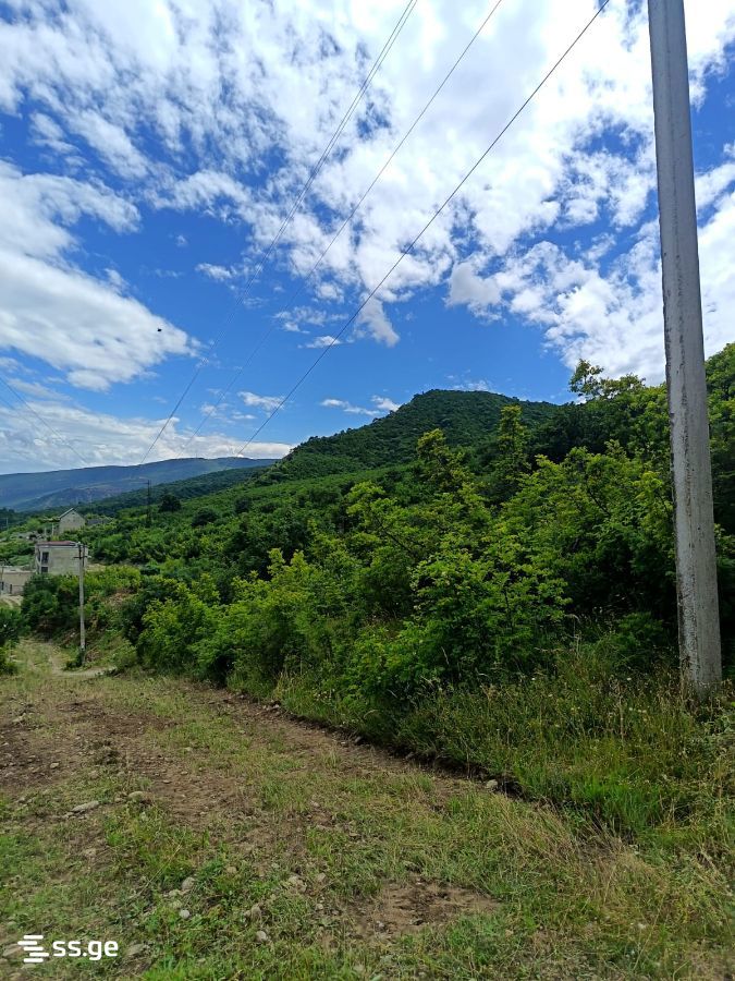 Land For Sale. Mtskheta view 6