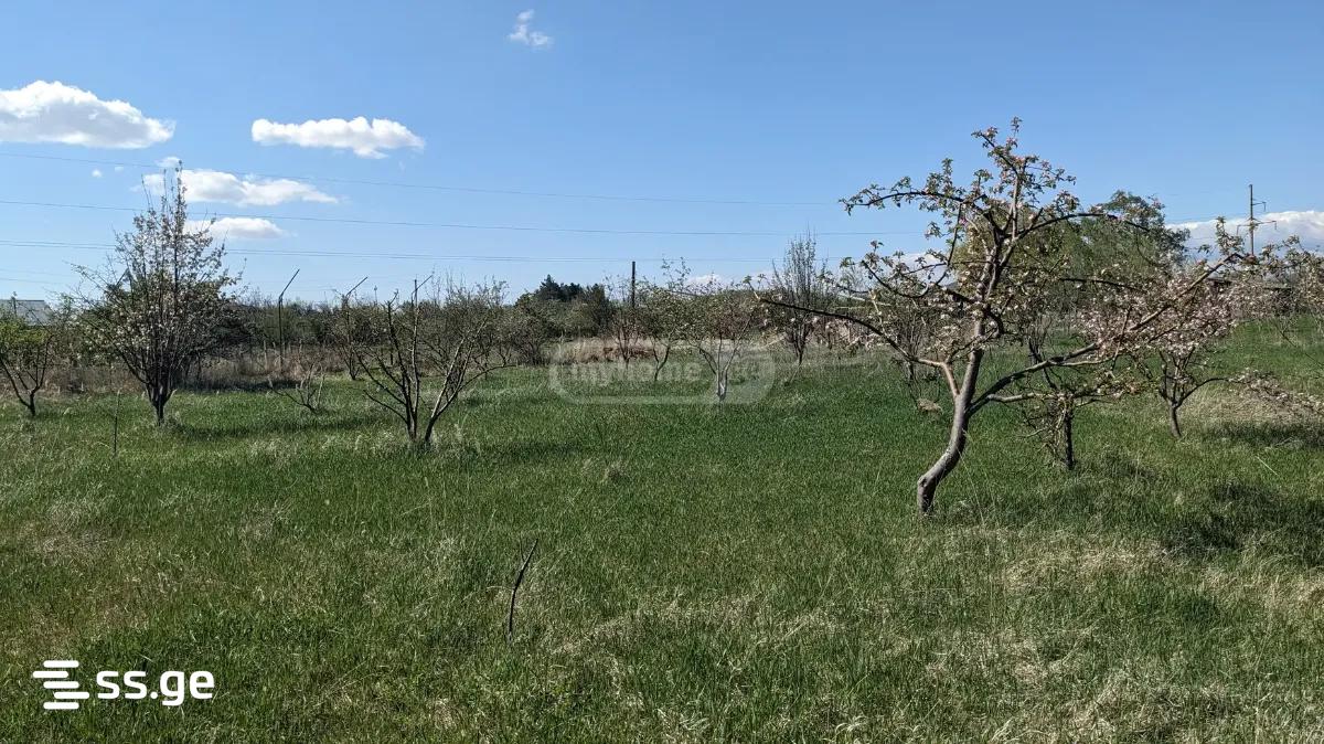 Land For Sale. Gori view 2