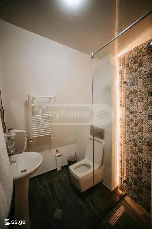 1 Room Summer Cottage Daily Rent. Batumi view 3