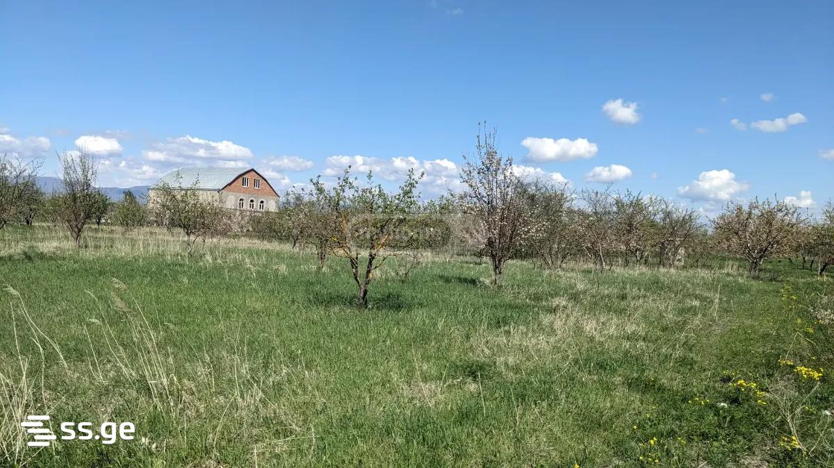 Land For Sale. Gori view 1