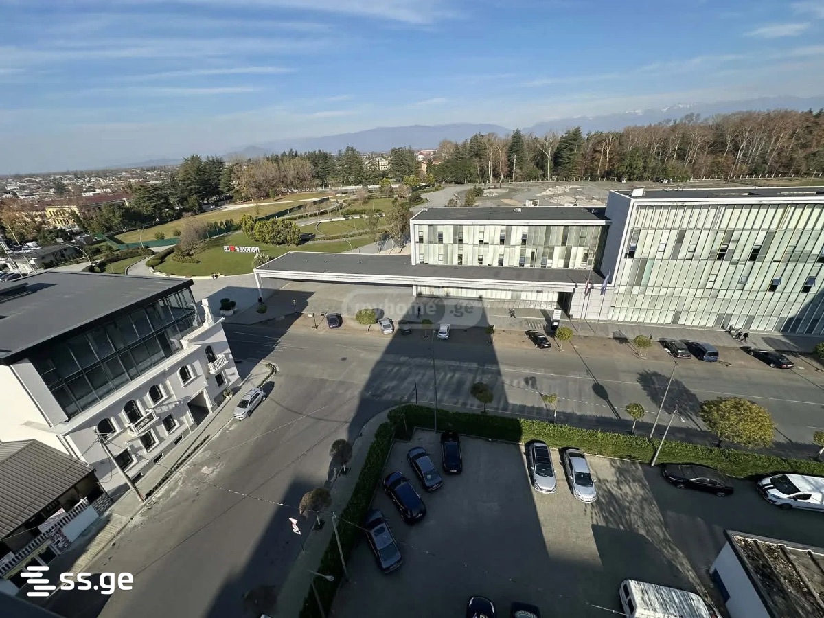 3 Room Flat For Rent. Zugdidi view 6