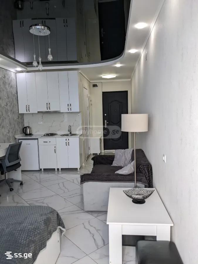 1 Room Flat Daily Rent. Batumi view 6