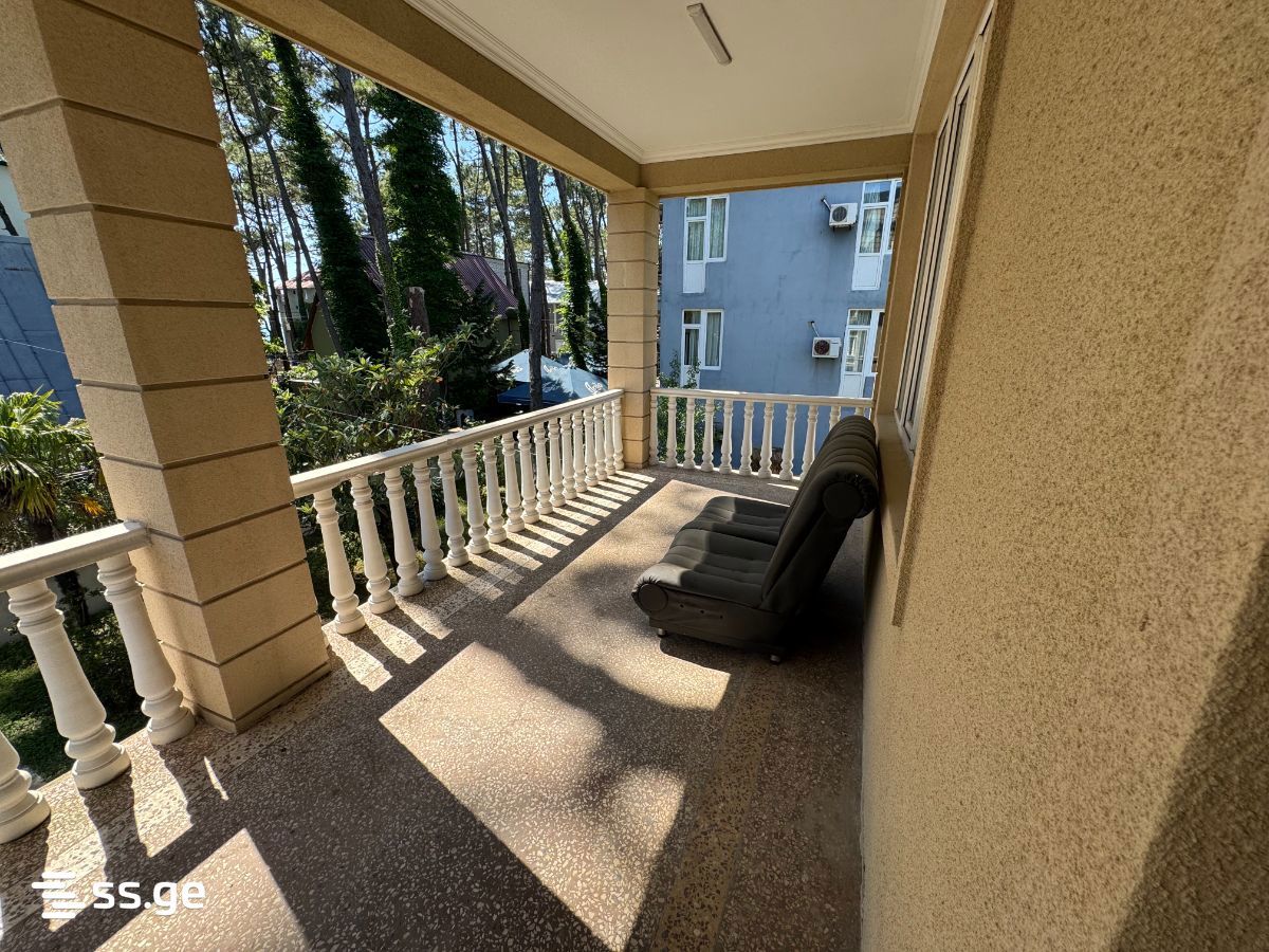 7 Room Summer Cottage Daily Rent. Grigoleti view 15