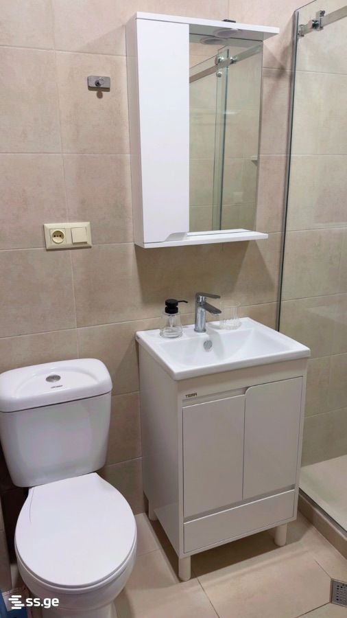 2 Room Flat For Rent. Kutaisi view 6