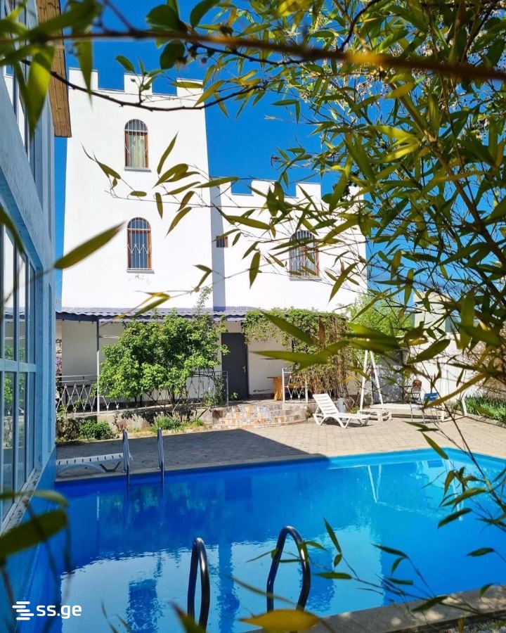 7 Room Private House Daily Rent. Bazaleti view 6