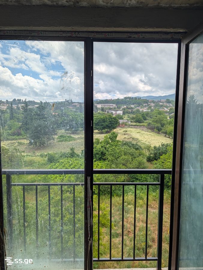 For Sale 3 Room Apartment Telavshi view 27