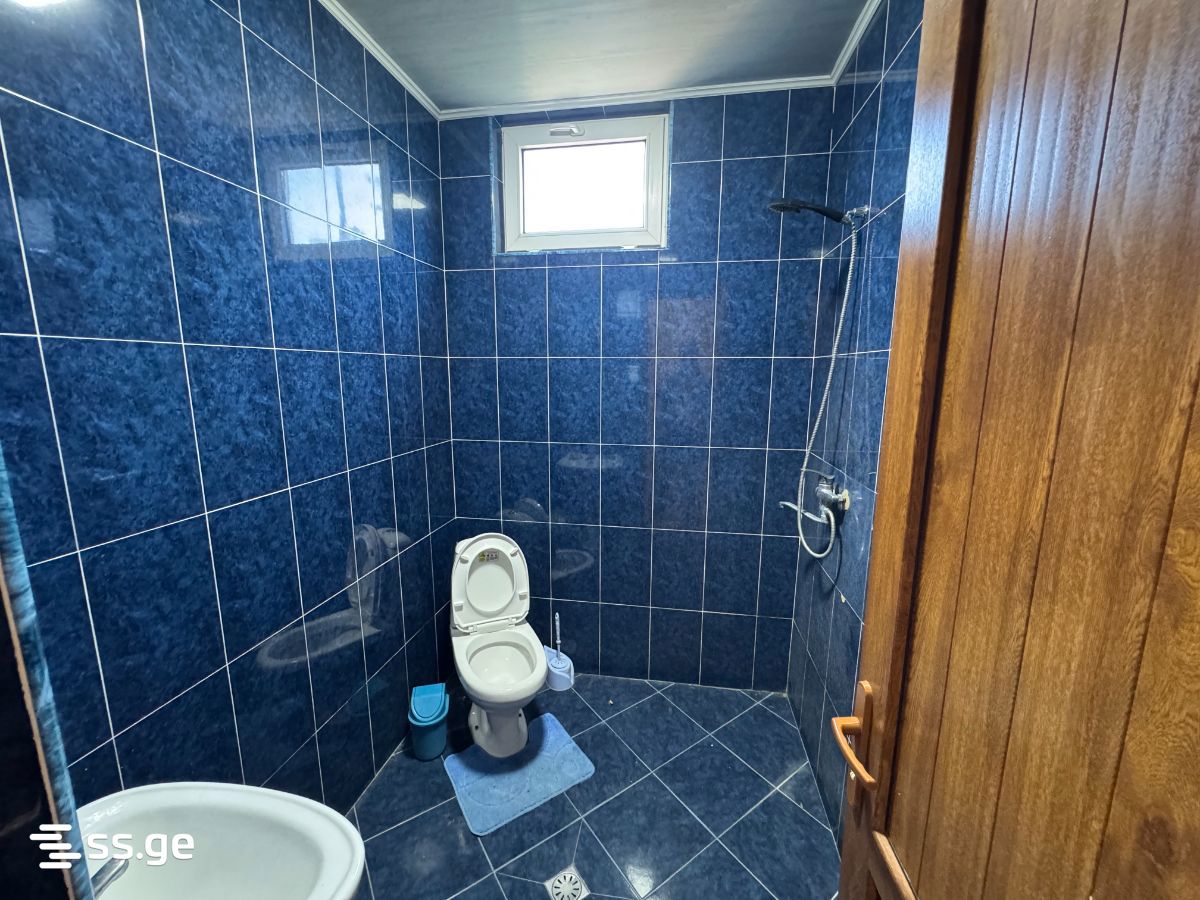 7 Room Summer Cottage Daily Rent. Grigoleti view 14