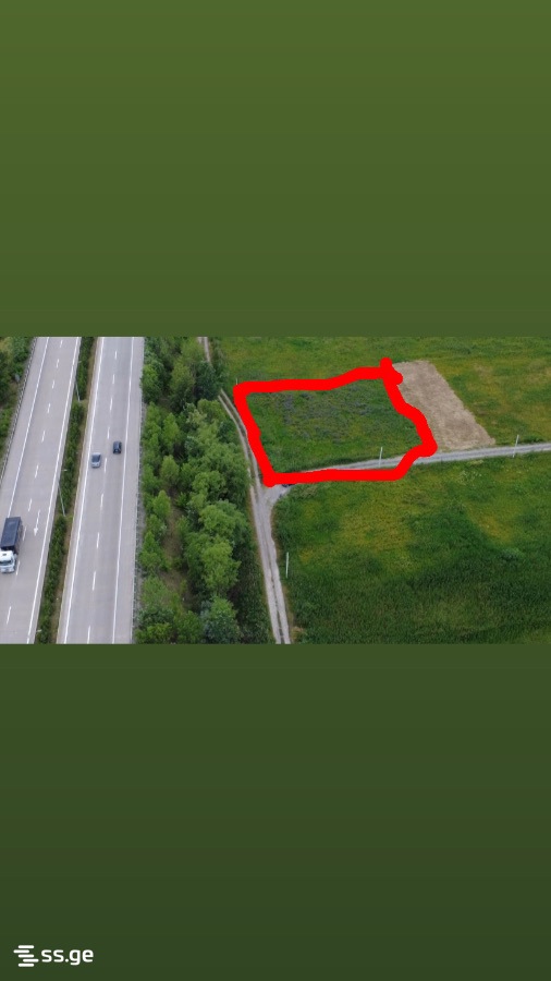 Land For Sale. Gori view 4