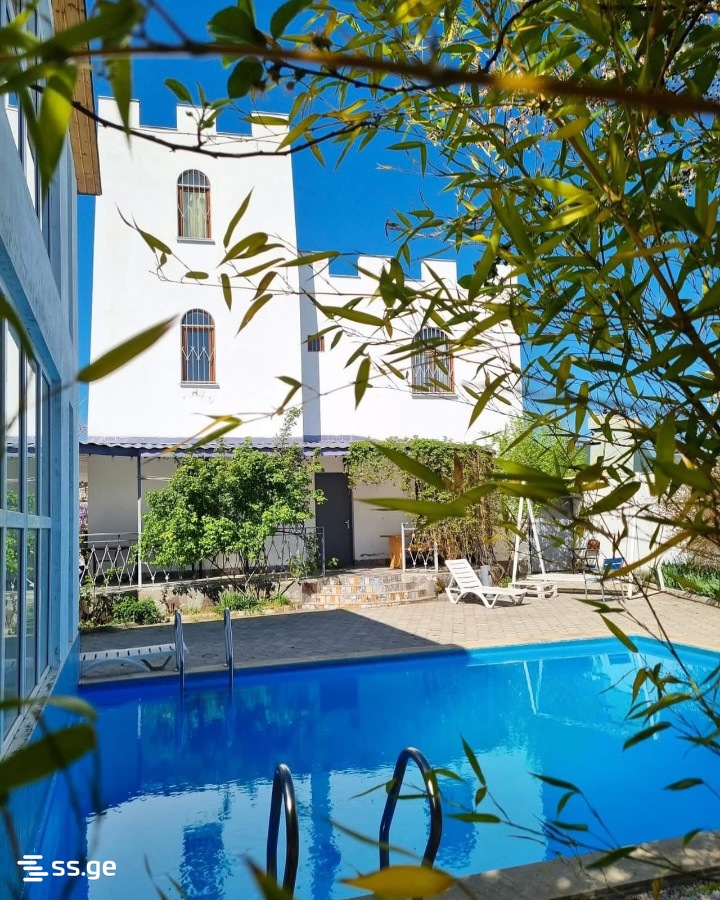 7 Room Private House Daily Rent. Bazaleti view 2
