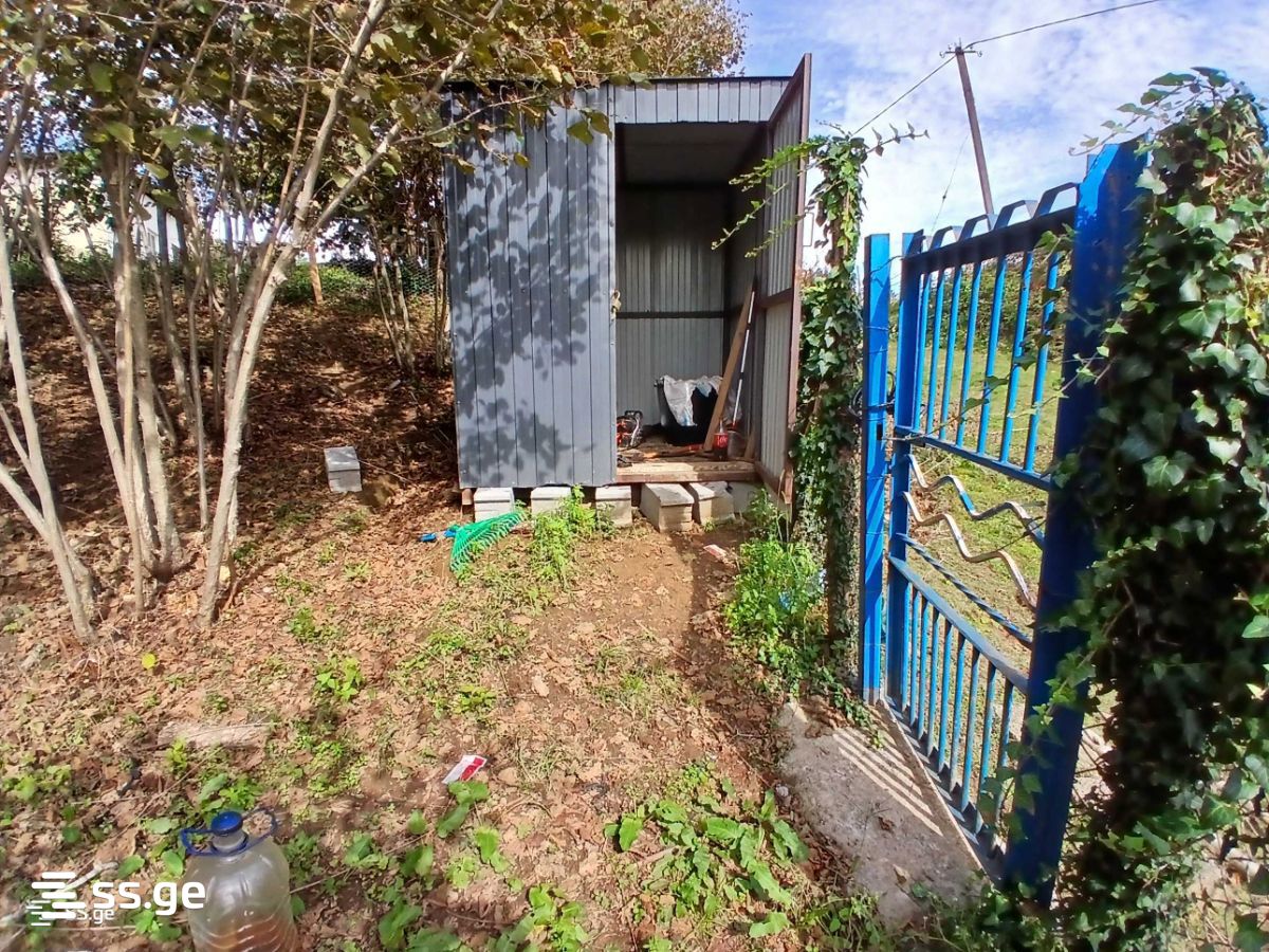 Land For Sale. Zugdidi view 5