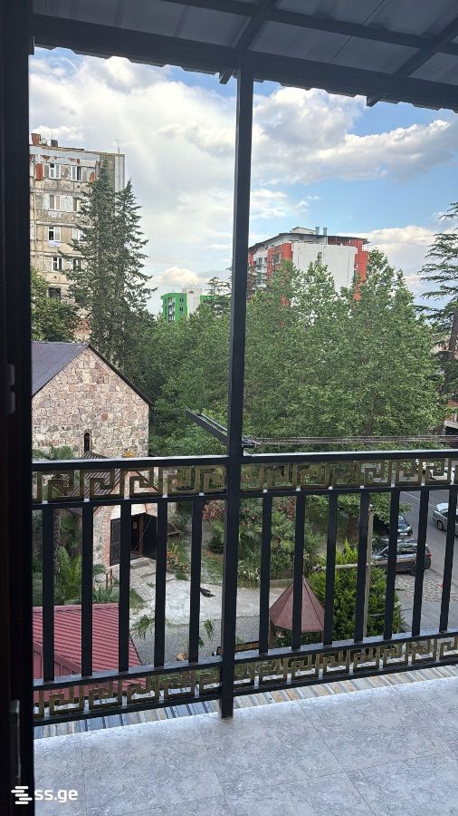 2 Room Flat For Rent. Kutaisi view 9