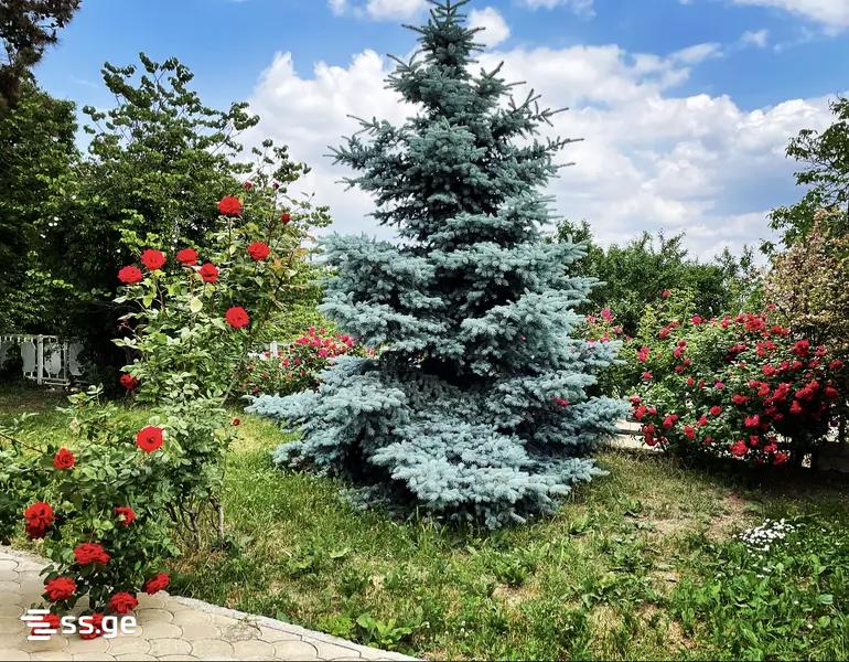 Продажа 3-комната Summer Cottage view 2