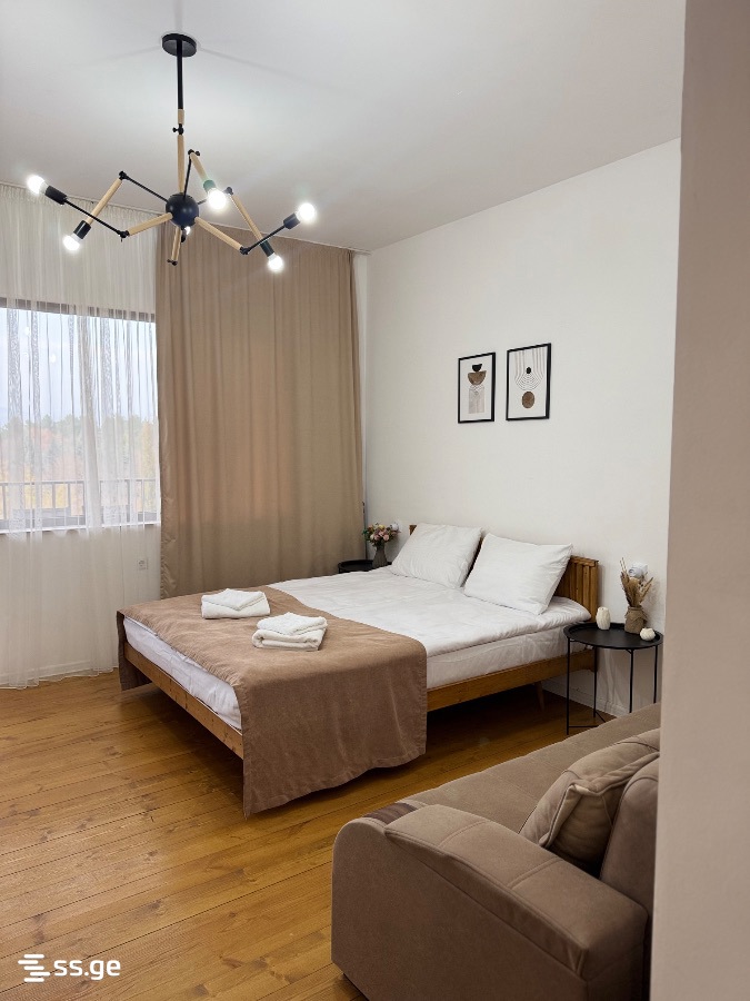 1 Room Flat Daily Rent. Bazaleti view 5