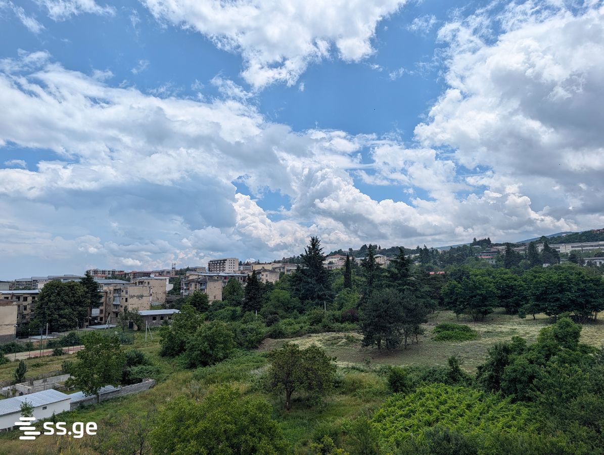 For Sale 3 Room Apartment Telavshi view 23