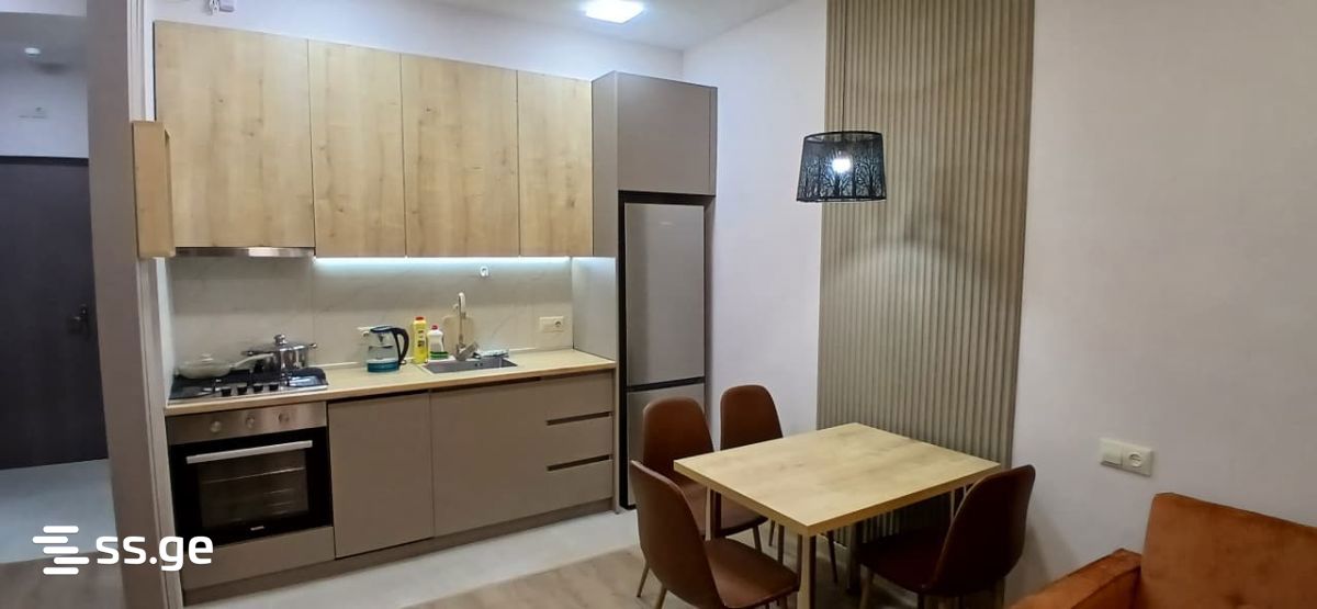 2 Room Flat Daily Rent. Samgori view 10